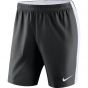 Y NK DRY VNM SHORT II WVN